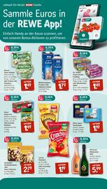 Nahkauf Prospekt woche 47 Seite 4