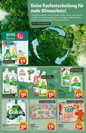 REWE Center Prospekt woche 47 Seite 26