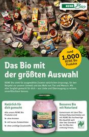 REWE Center Prospekt woche 47 Seite 27