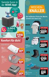 REWE Center Prospekt woche 47 Seite 31