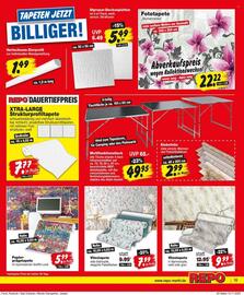 Repo Markt Prospekt woche 47 Seite 15