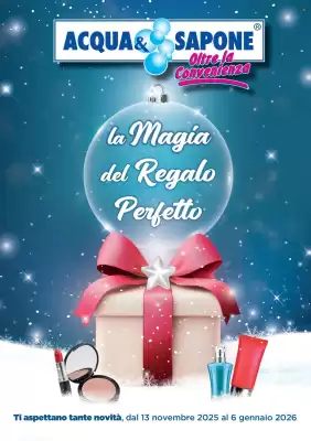 Volantino Acqua & Sapone (valido fino al 6-01)