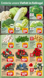 REWE Prospekt woche 47 Seite 7