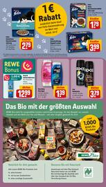 REWE City Prospekt woche 47 Seite 19
