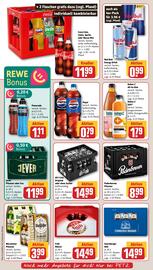 REWE PETZ Prospekt woche 47 Seite 16