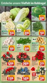 REWE DE tilbudsavis uge 47 Side 7