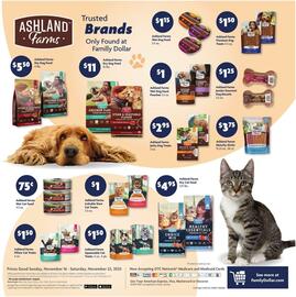 Family Dollar weekly ad week 47 Page 14