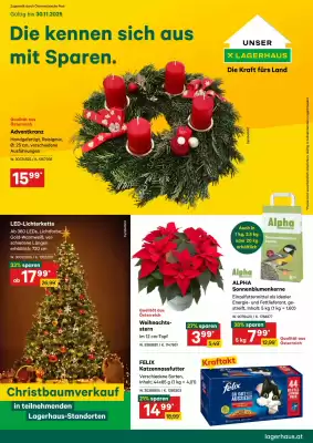 Lagerhaus Flugblatt (gültig bis 1-12)