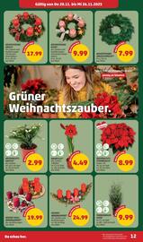 PENNY Flugblatt woche 47 Seite 12