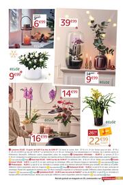 Catalogue Jardiland page 13