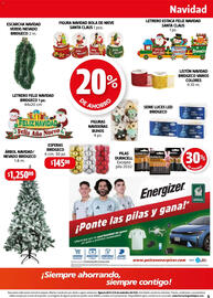 Folleto Farmacias Guadalajara Página 5