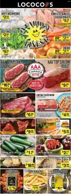 Lococo's flyer (valid until 20-11)