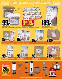 ÖoB annonsblad vecka 47 Sida 11