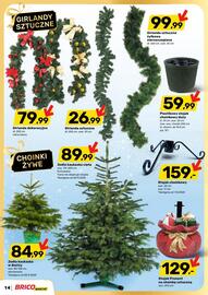 Bricomarche gazetka Strona 14