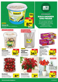 Liebmarkt Flugblatt Seite 12