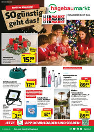 Liebmarkt Flugblatt Seite 7