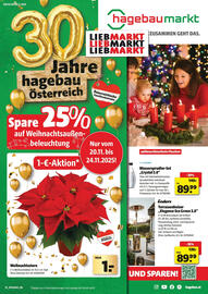 Liebmarkt Flugblatt Seite 1