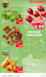 Kaufland Prospekt Seite 9