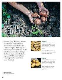 Sutterlüty Flugblatt Seite 36