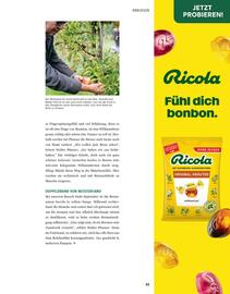 Sutterlüty Flugblatt Seite 43