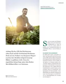 Sutterlüty Flugblatt Seite 31