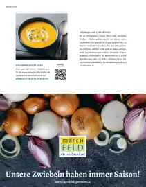 Sutterlüty Flugblatt Seite 34