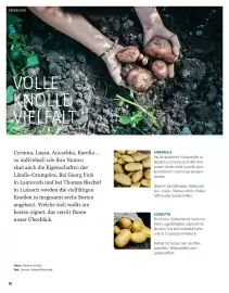 Sutterlüty Flugblatt Seite 36