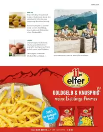 Sutterlüty Flugblatt Seite 37