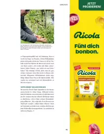 Sutterlüty Flugblatt Seite 43