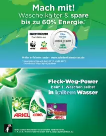 Sutterlüty Flugblatt Seite 62