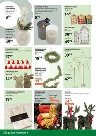 Bellaflora Flugblatt Seite 6