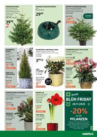 Bellaflora Flugblatt Seite 7