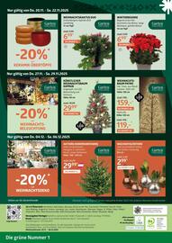 Bellaflora Flugblatt Seite 8