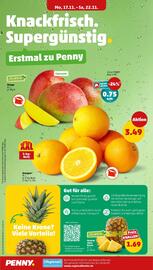 PENNY DE folder week 47 Pagina 2