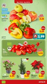 PENNY DE folder week 47 Pagina 3