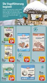 Rewe DE folder week 47 Pagina 16