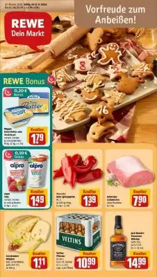 Rewe DE folder (geldig t/m 23-11)