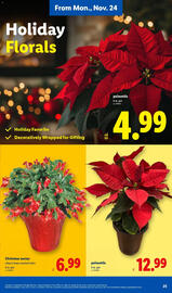 Lidl weekly ad Page 25