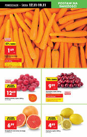 Biedronka gazetka tydzień 47 Strona 24