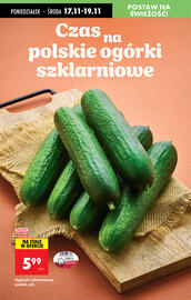 Biedronka gazetka tydzień 47 Strona 27