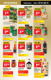 Biedronka gazetka tydzień 47 Strona 49