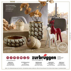 Zurbrüggen Prospekt Seite 116