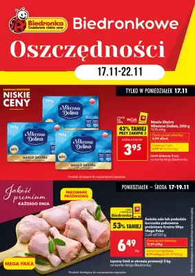 Biedronka gazetka (ważność do 22-11)