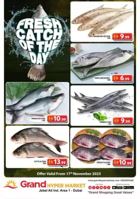 Grand Hyper Market catalogue (valid until 17-11)