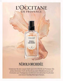 Müller Flugblatt Seite 15