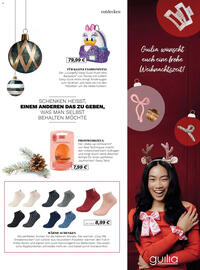 Müller Flugblatt Seite 45