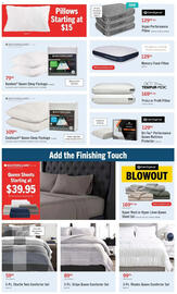 The Brick flyer Page 7