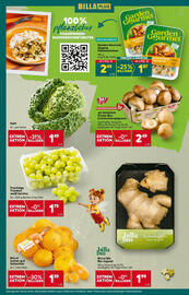 Billa Flugblatt woche 46 Seite 8