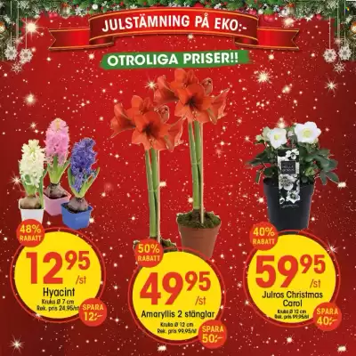 EKO reklamblad (giltig till och med 23-11)