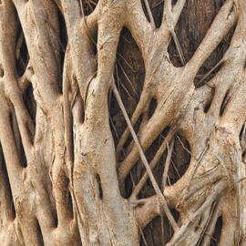 Catalogue Attila page 6